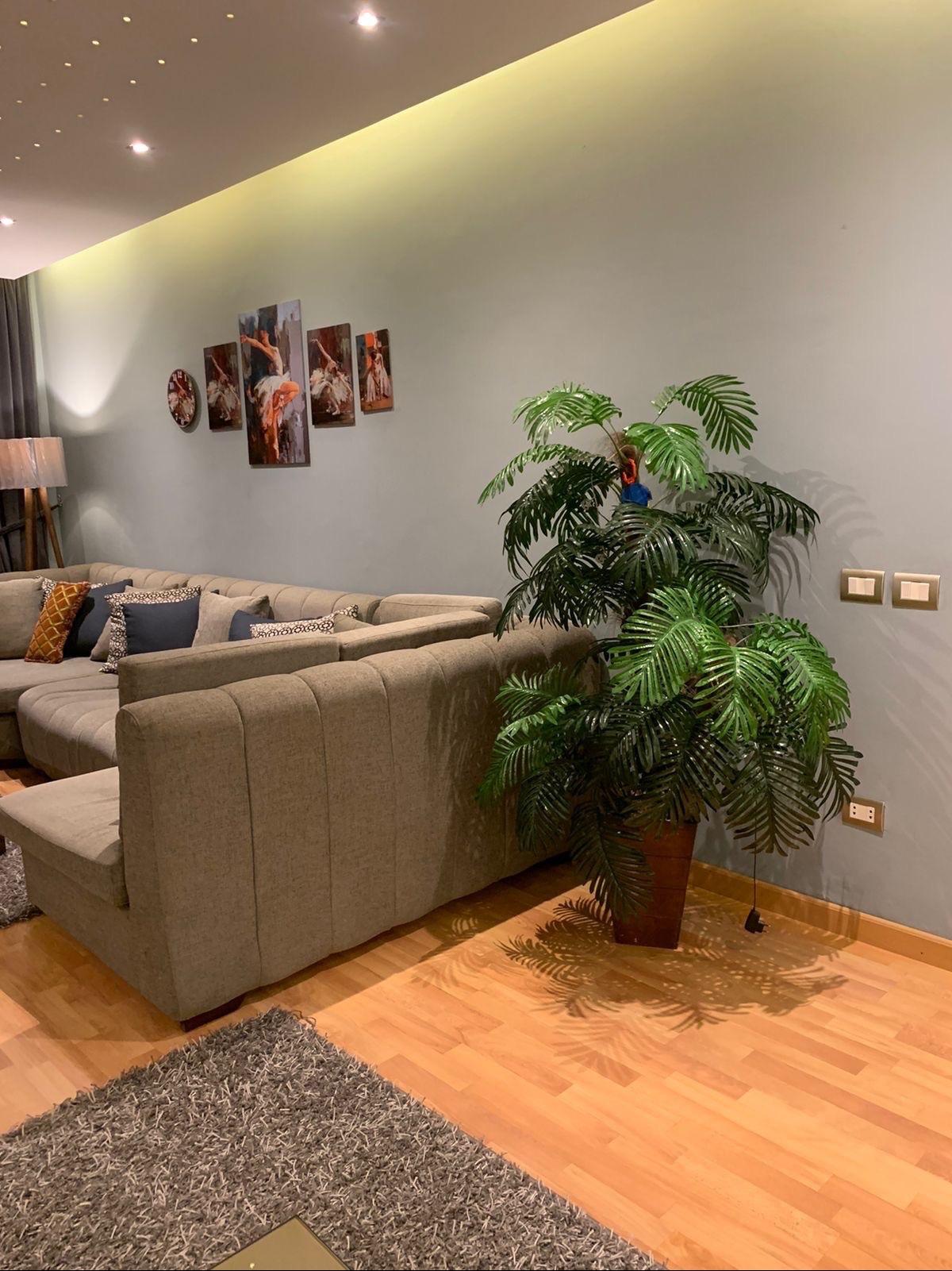 Spacious 3-Bedroom Apartment with 2 Bathrooms and Expansive Garden