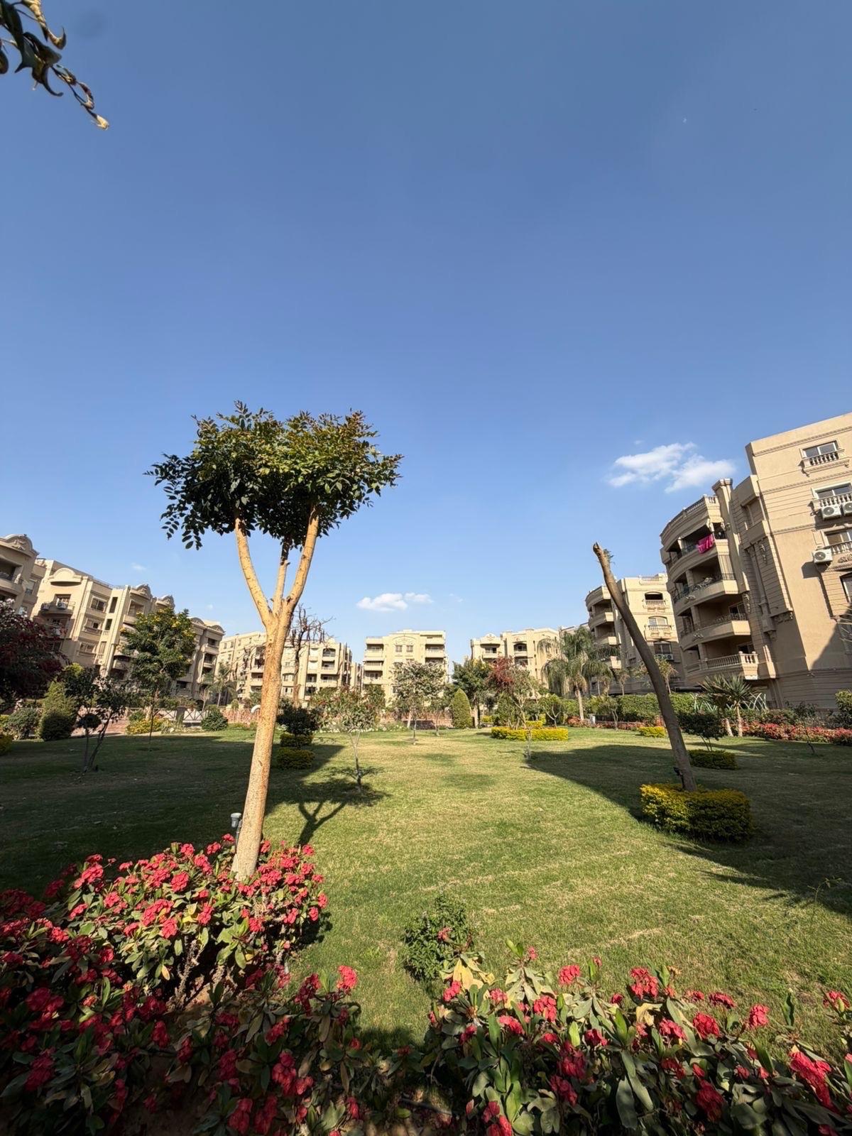 3-bed ground apartment in Ramblas, New Cairo — 240 sqm + 100 sqm garden