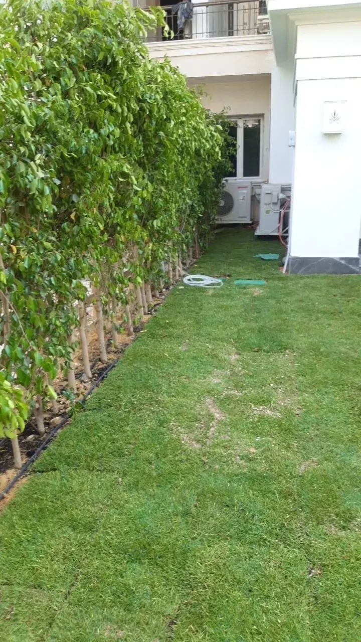 Duplex for rent in Mountain View Executive with Private Garden