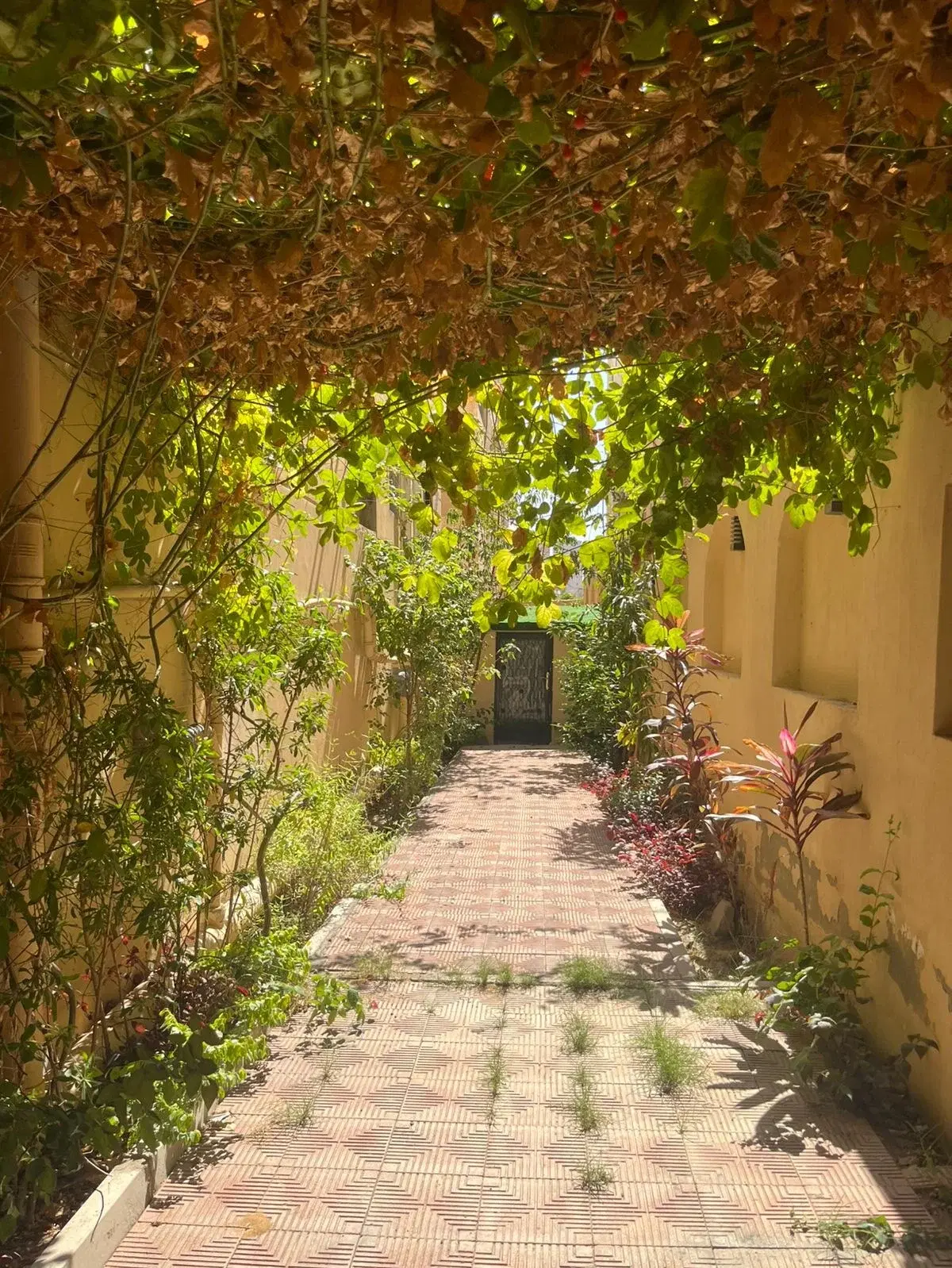 3-bed apartment in El Shorouk 2 — 200 sqm, private garden, ready to move