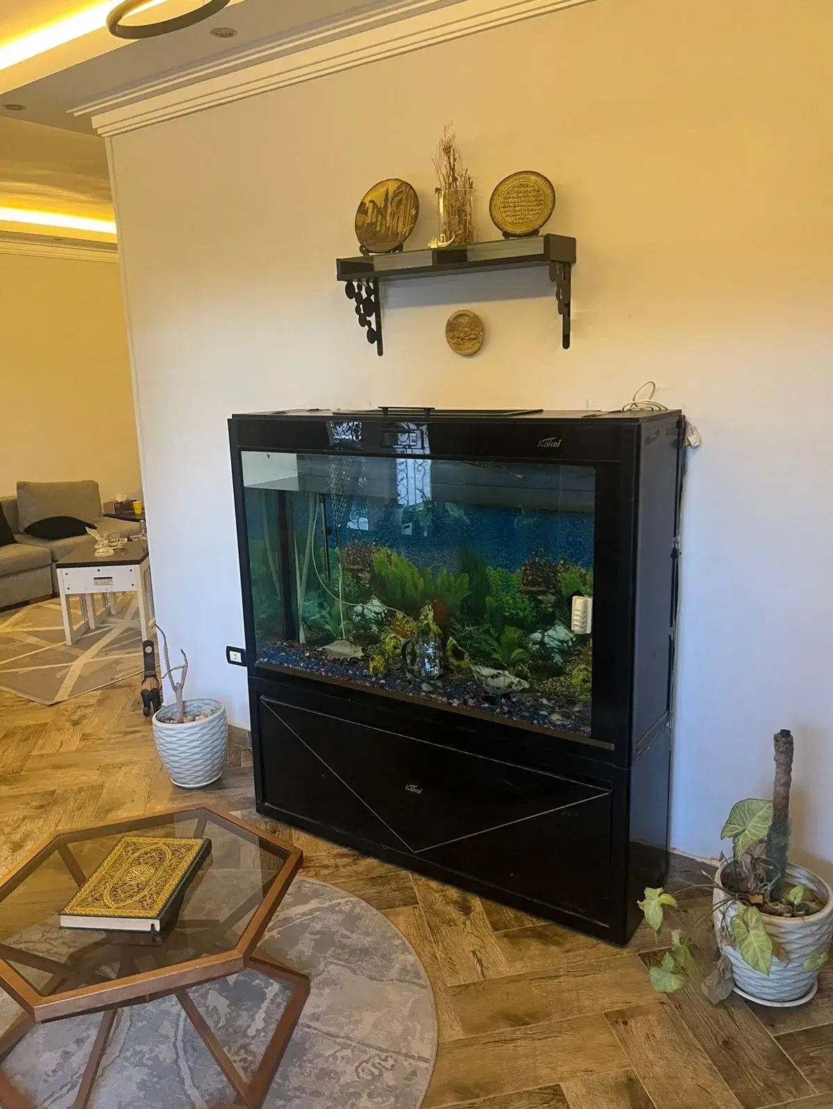 3-bed apartment in El Shorouk 2 — 200 sqm, private garden, ready to move