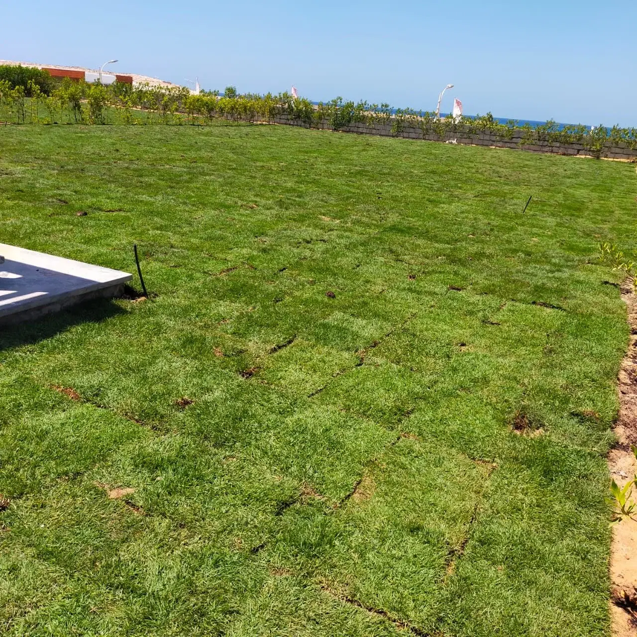 Stunning 5-Bedroom Villa for Sale in Gaia, Ras El Hekma by Al Ahly Sabbour Developments