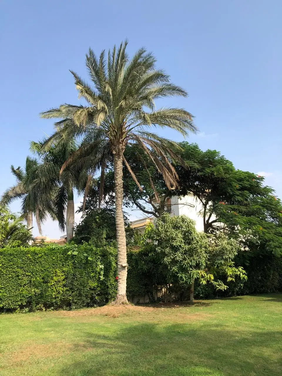 Luxurious Villa for Sale in Golf Solimania