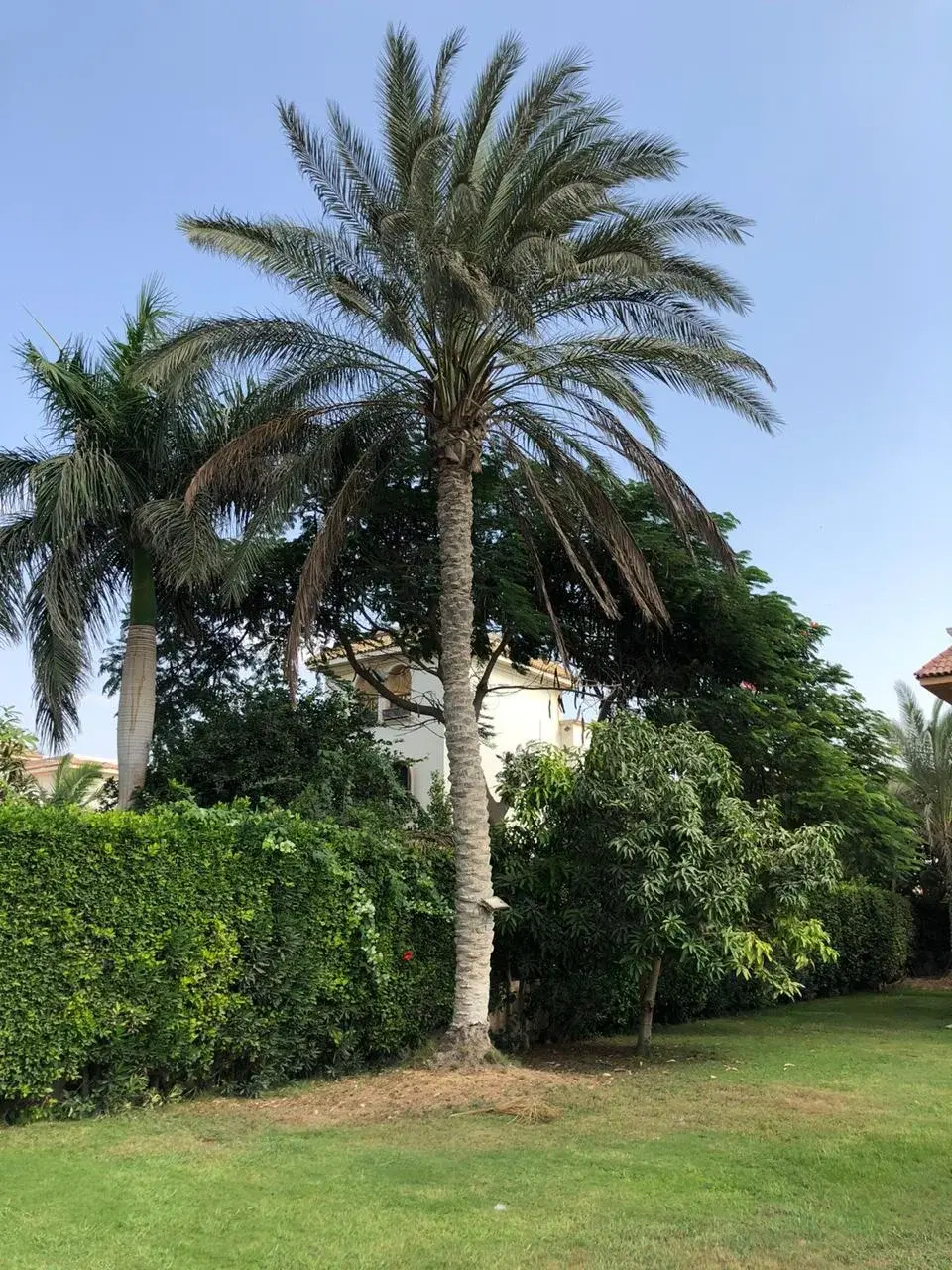 Luxurious Villa for Sale in Golf Solimania