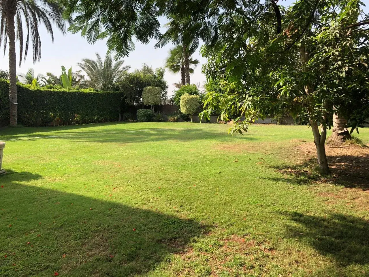 Luxurious Villa for Sale in Golf Solimania