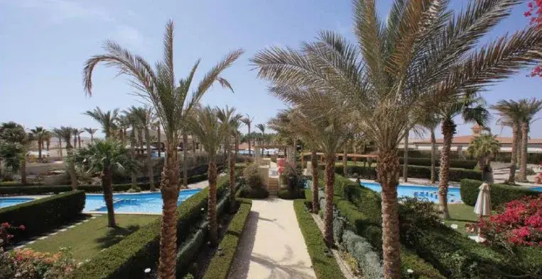 استوديو للبيع في ديوا فيراندا سهل حشيش من إنرشيا مصر