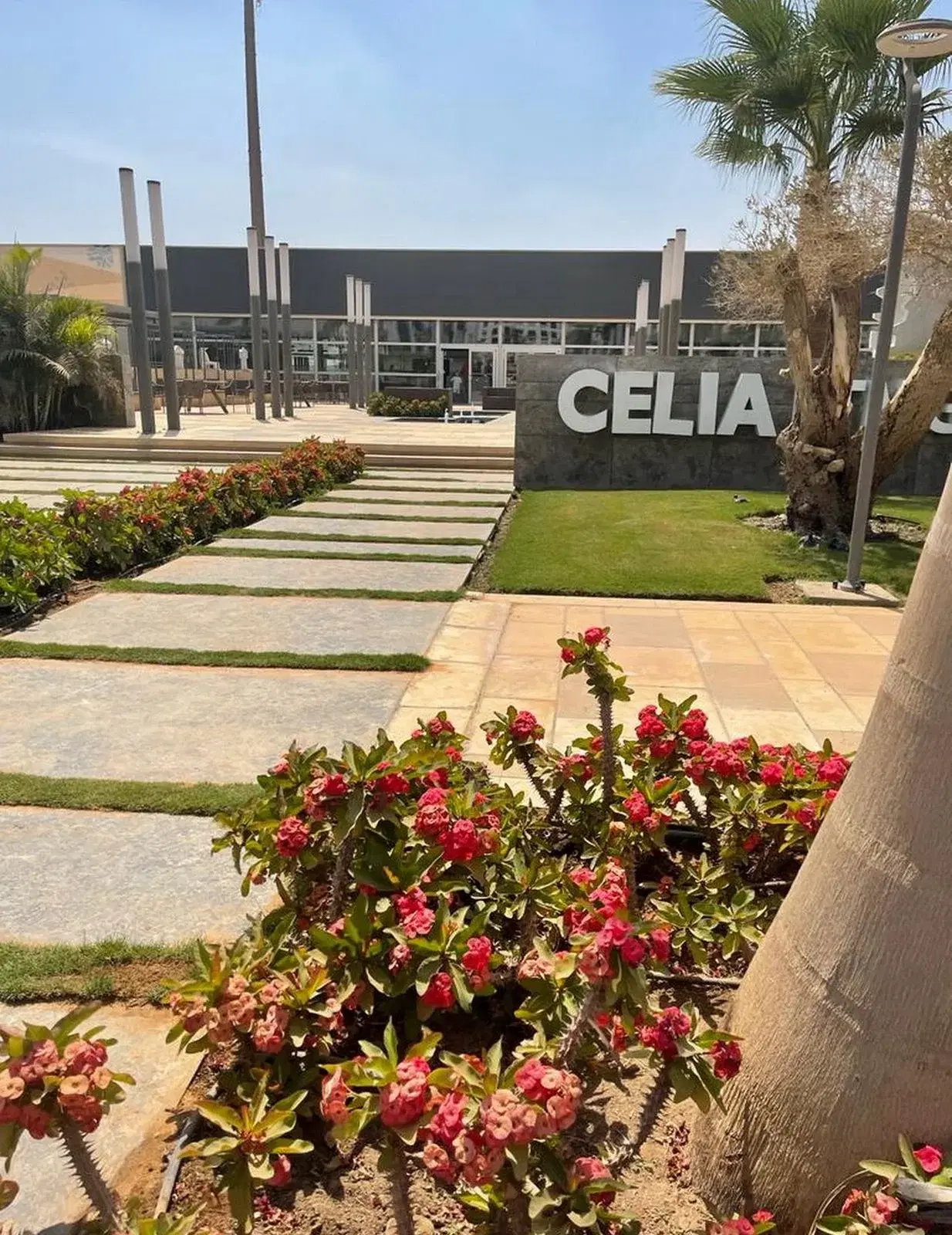 Stunning Apartment for Sale in Celia