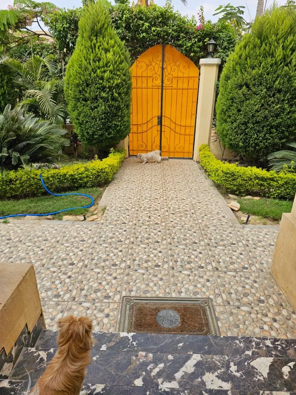 Twinhouse for Sale in Fountain Park