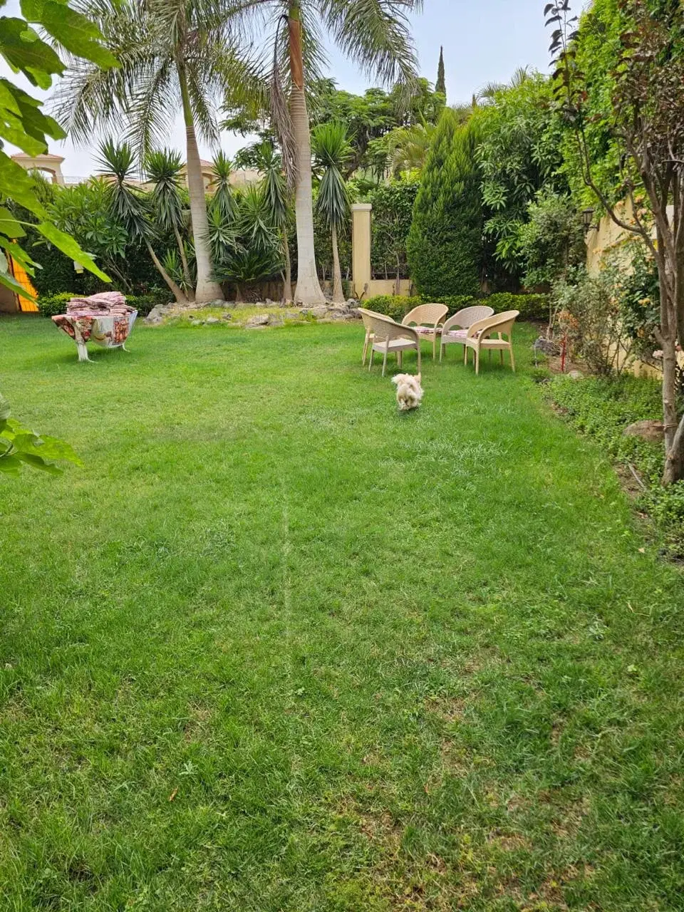 Twinhouse for Sale in Fountain Park