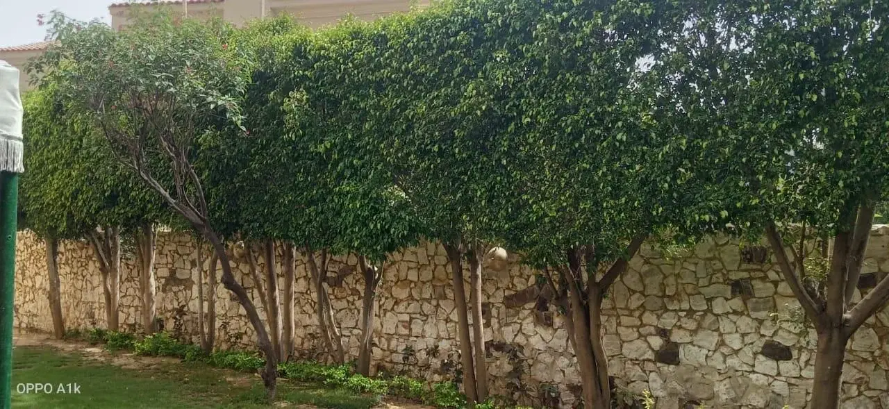 Luxury Villa for Sale in Katameya Hills