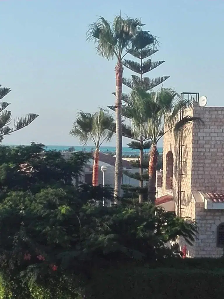 Luxurious Chalet for Sale in Marina 4, North Coast