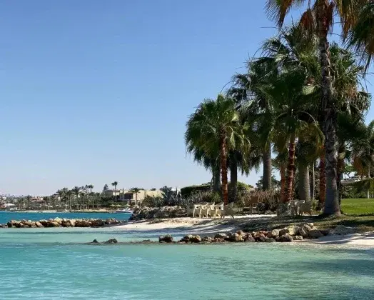 استوديو للبيع في مارينا 8، الساحل الشمالي من هيئة المجتمعات العمرانية الجديدة