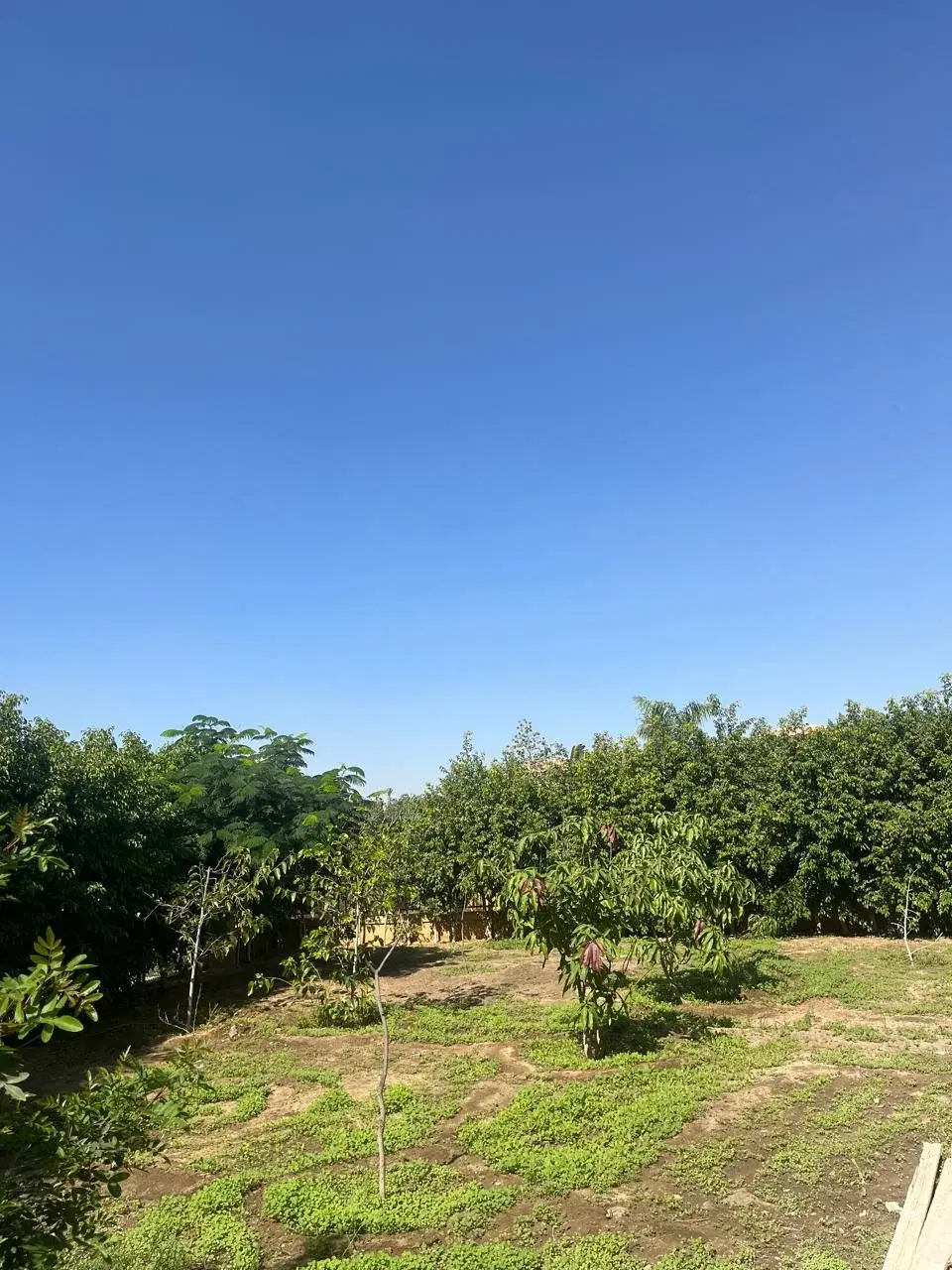 Exquisite Villa for Sale in Mivida