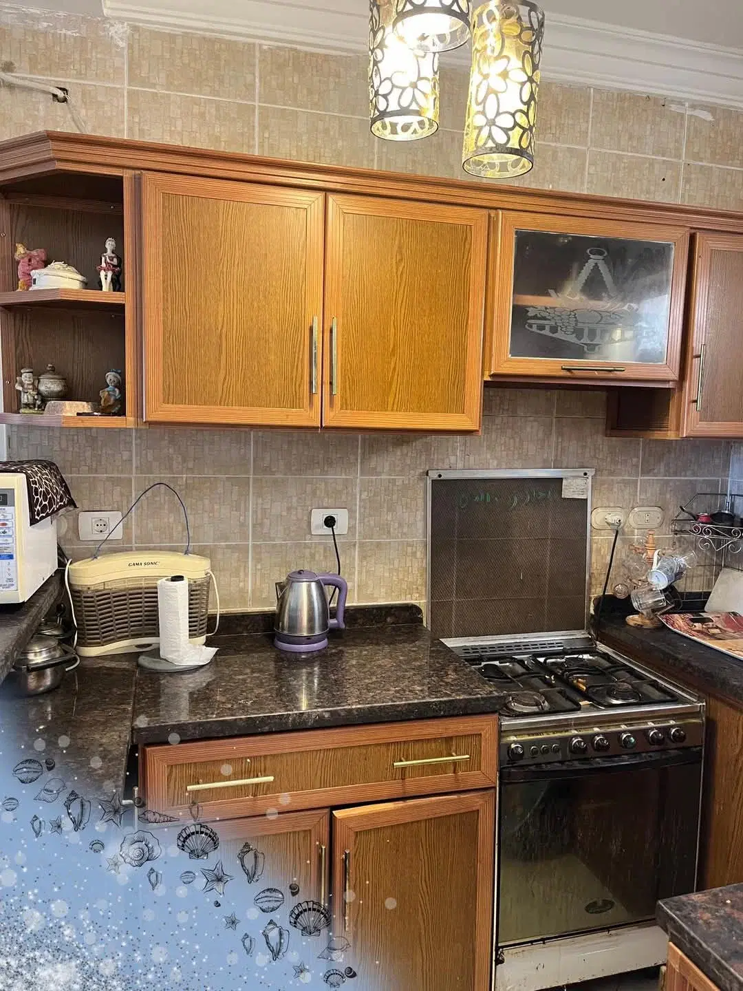 Chalet for Sale in Nice 4