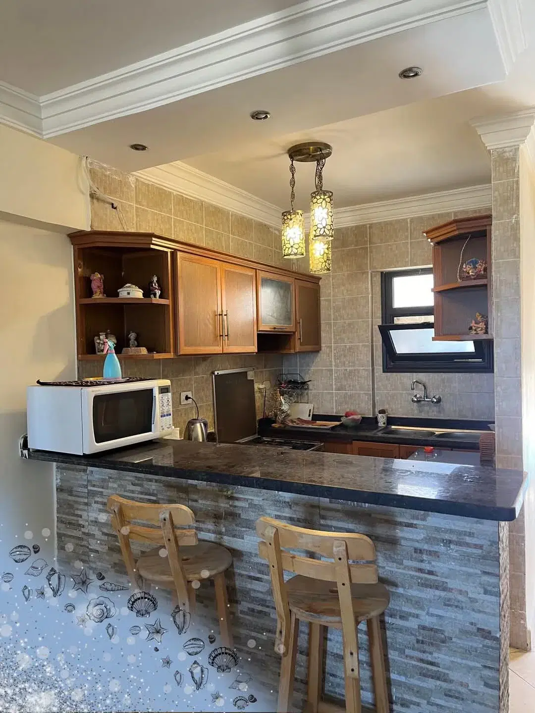 Chalet for Sale in Nice 4