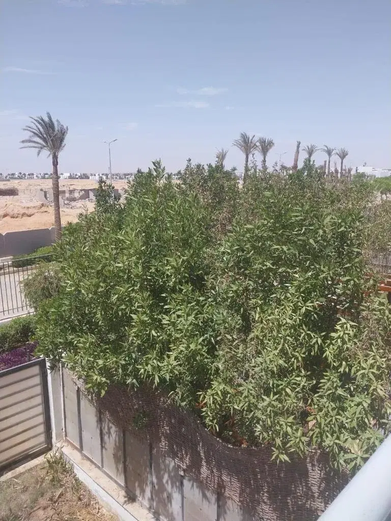 Stylish Townhouse for Sale in Hyde Park, New Cairo - 2 Bedrooms