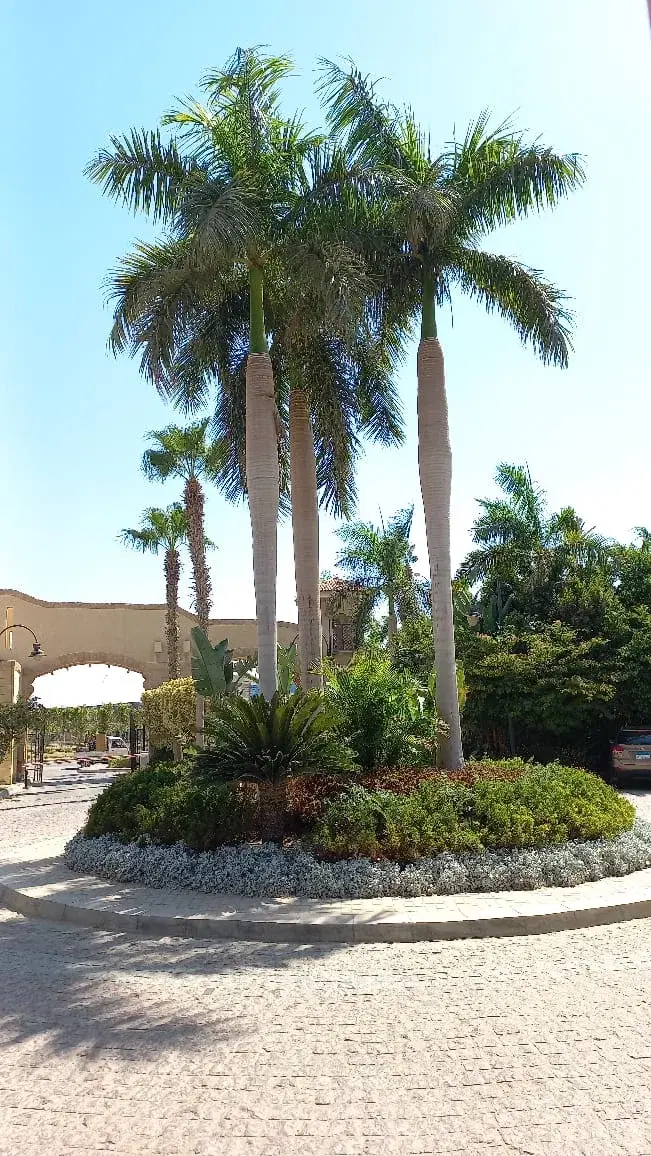 Townhouse for sale in Dara Gardens 6 October 282 sqm