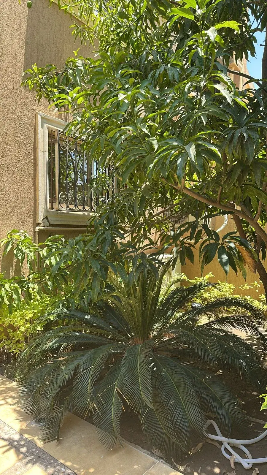 Twinhouse for sale in Les Rois New Cairo 375 sqm