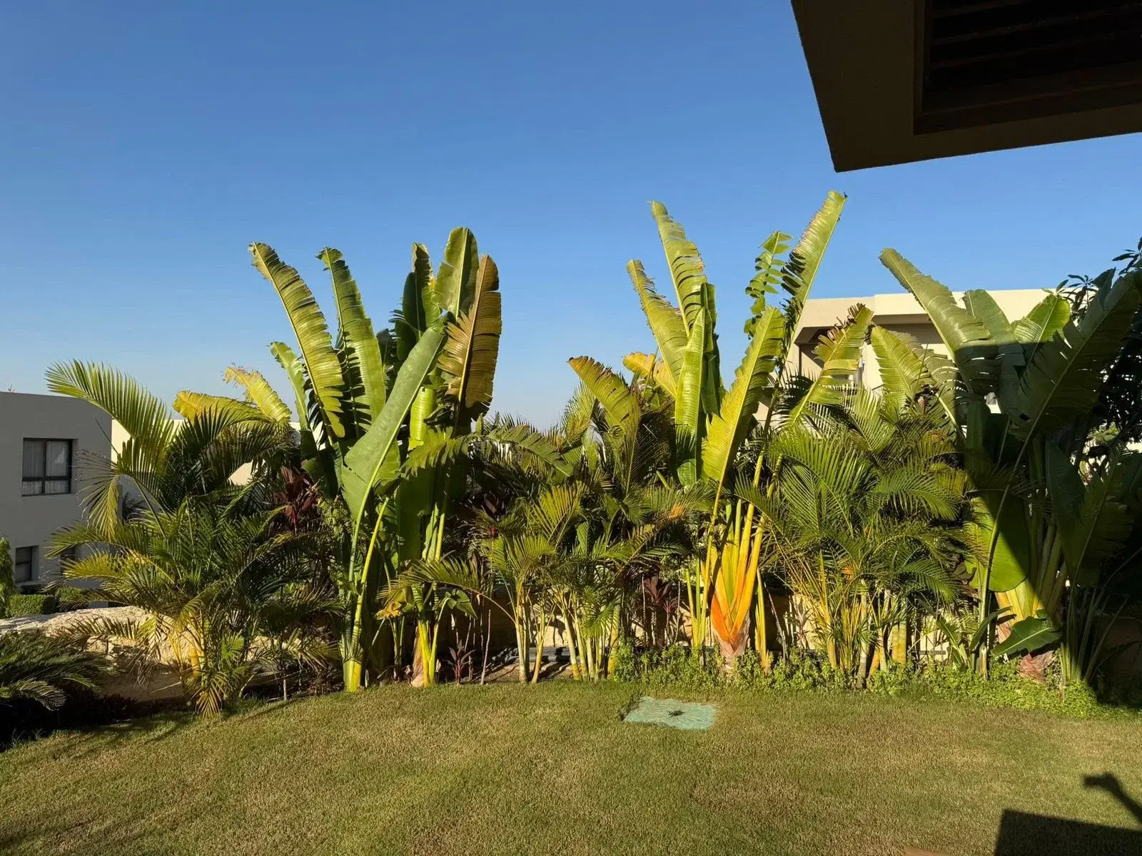 Twinhouse for Sale in Azha, Ain Sokhna — 3 BR, 185 sqm, Ready to Move