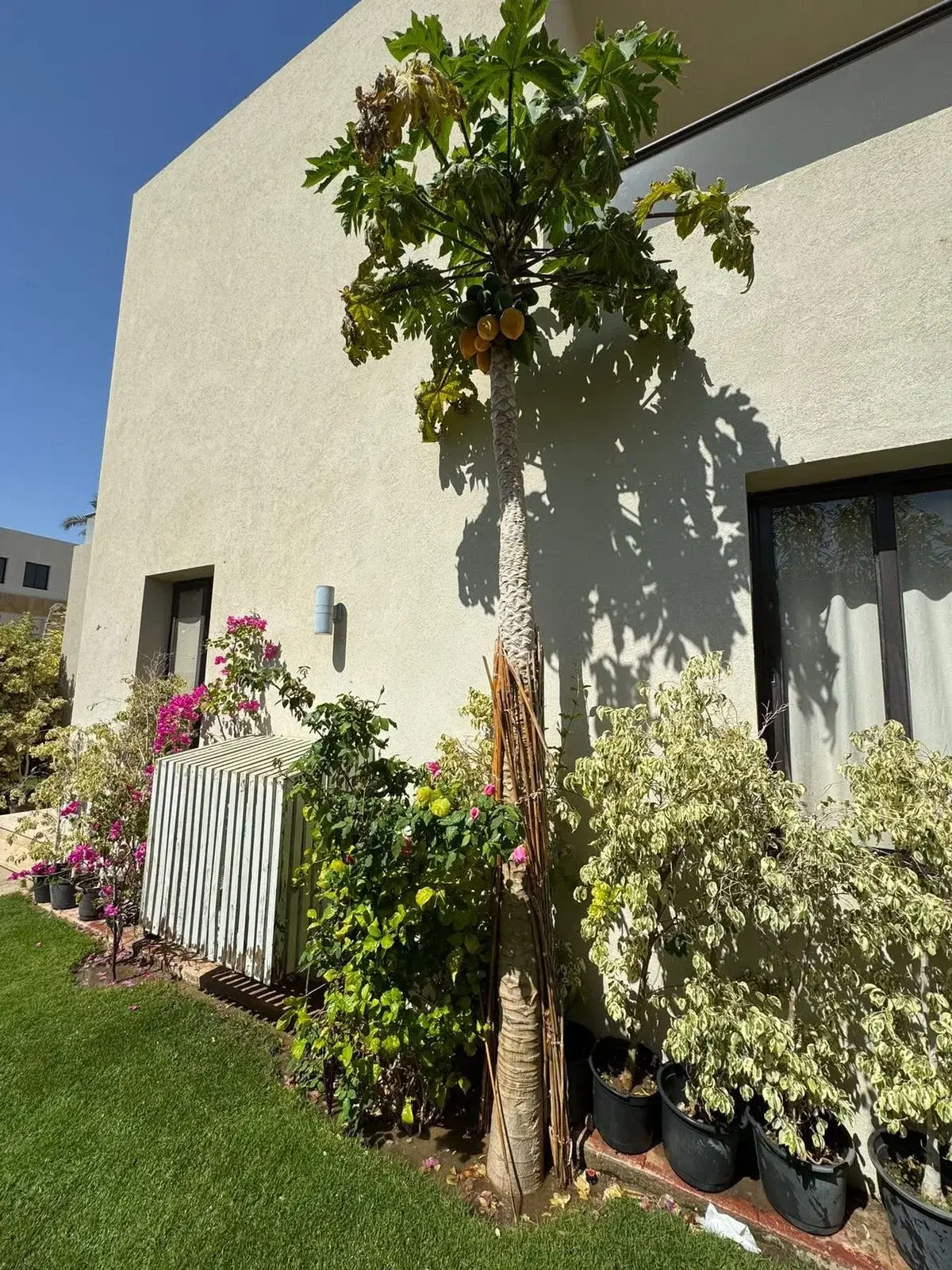 Twinhouse for Sale in Azha, Ain Sokhna — 3 BR, 185 sqm, Ready to Move