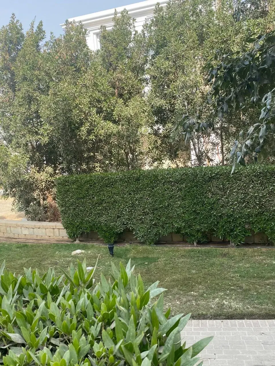 Duplex for sale in Mountain View October Park 220 sqm