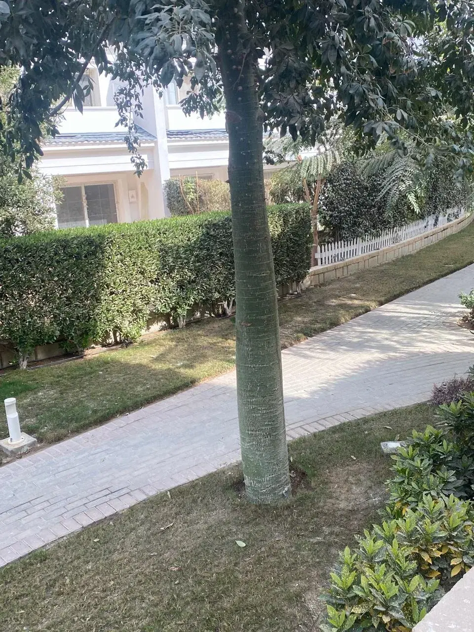 Duplex for sale in Mountain View October Park 220 sqm
