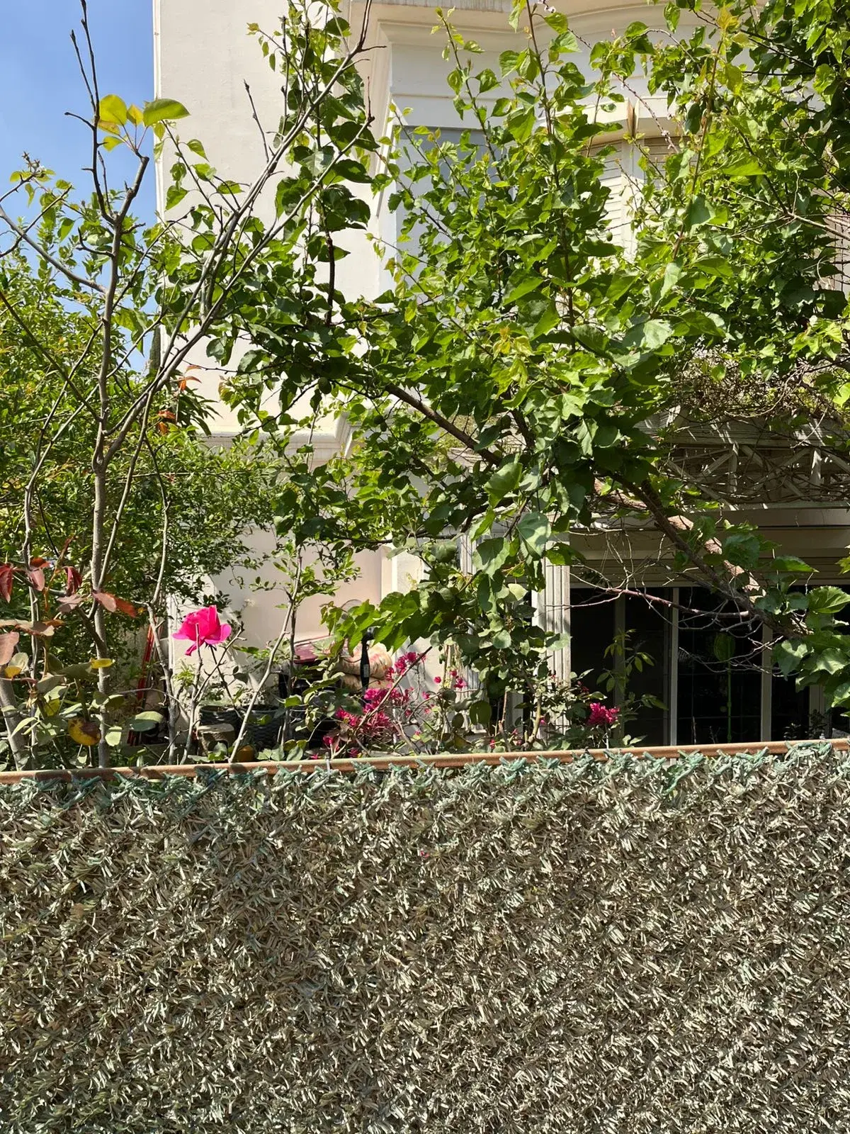 Duplex for sale in Mountain View Executive Residence Katameya 223 sqm