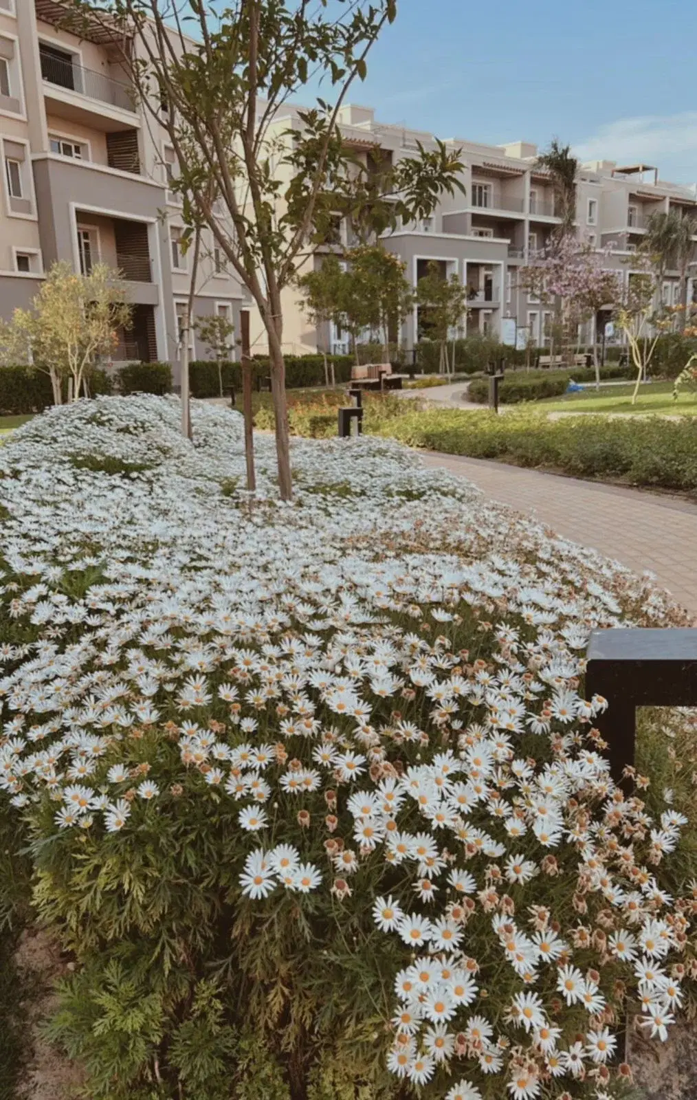 2-Bedroom Apartment for Sale in October Plaza (Northern Expansion) — SODIC, 6th of October City